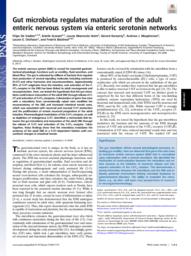 thumnail for 1720017115.full.pdf