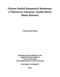 thumnail for Bilchak_columbia_0054D_15118.pdf