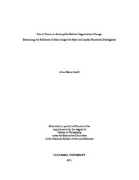 thumnail for Cahill_columbia_0054D_10138.pdf
