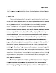 thumnail for 104-Infant_Development_Grant_Proposal-_Giselle_Boulay.pdf