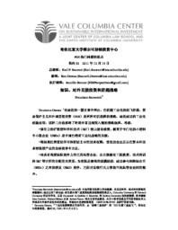 thumnail for No_53_-_Sercovich_-_FINAL_-_CHINESE_version.pdf