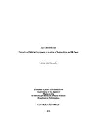thumnail for MA_Thesis_-_Leticia_Satie_Bermudes.pdf