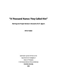thumnail for Hadad_columbia_0054D_10831.pdf