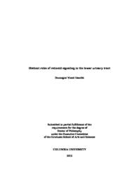 thumnail for Gandhi_columbia_0054D_10848.pdf