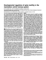 thumnail for PNAS-1999-Dunaevsky-13438-43.pdf