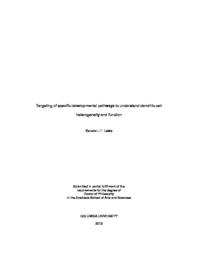 thumnail for Lewis_columbia_0054D_10469.pdf