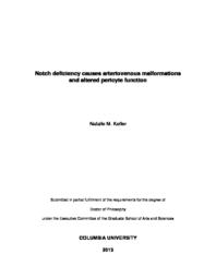 thumnail for Kofler_columbia_0054D_11386.pdf