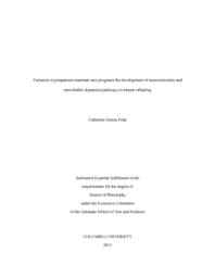 thumnail for Pena_columbia_0054D_11136.pdf