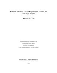 thumnail for Tan_columbia_0054D_11958.pdf