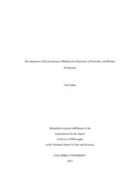 thumnail for Sahin_columbia_0054D_10871.pdf