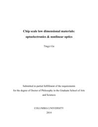 thumnail for Gu_columbia_0054D_12032.pdf