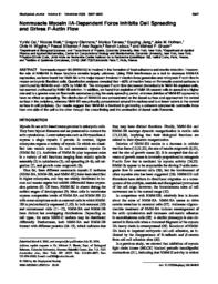 thumnail for nonmuscle-myosin-IIA-dependent-force-inhibits-cell-spreading-and-drives-f-actin-flow.pdf