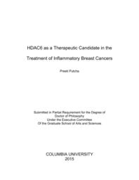 thumnail for Putcha_columbia_0054D_12612.pdf