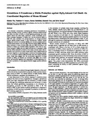 thumnail for Cancer_Res_2000_Yin.pdf