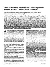 thumnail for JI_2000_Guevara_Patino.pdf