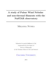 thumnail for Nynka_columbia_0054D_12451.pdf