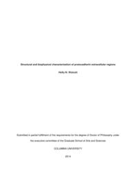 thumnail for Wolcott_columbia_0054D_12338.pdf