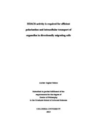 thumnail for Salam_columbia_0054D_11646.pdf