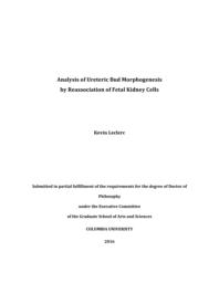 thumnail for Leclerc_columbia_0054D_13096.pdf