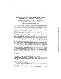 thumnail for J_Exp_Med-1974-Griffin-323-36.pdf