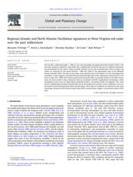 thumnail for 2011_D_Arrigo-etal-ESPL.pdf