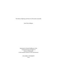 thumnail for Kallgren_columbia_0054D_12215.pdf