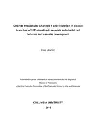 thumnail for Jilishitz_columbia_0054D_13242.pdf