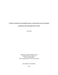 thumnail for Patel_columbia_0054D_13307.pdf