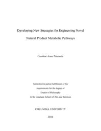 thumnail for Patenode_columbia_0054D_13379.pdf