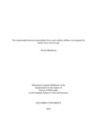 thumnail for Mandriota_columbia_0054D_13493.pdf