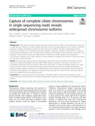 thumnail for 12864_2019_Article_6189.pdf
