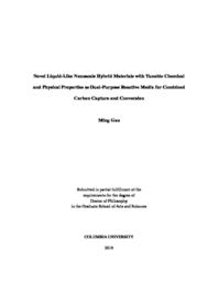 thumnail for Gao_columbia_0054D_14543.pdf