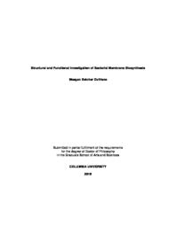 thumnail for BelcherDufrisne_columbia_0054D_14948.pdf