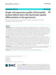 thumnail for 12915_2023_Article_1636.pdf