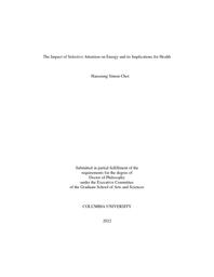 thumnail for Choi_columbia_0054D_18172.pdf