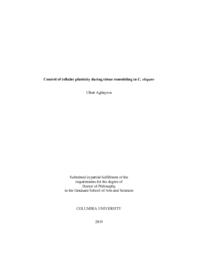 thumnail for Aghayeva_columbia_0054D_15526.pdf