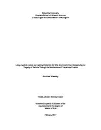 thumnail for Nissaraly, Roukhsar - Final Thesis 1.24.17.pdf
