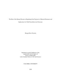 thumnail for Firestein_columbia_0054D_15684.pdf
