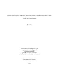 thumnail for Lin_columbia_0054D_16547.pdf