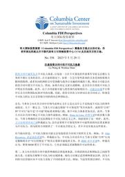 thumnail for No 358 - Wang and Shan - FINAL - CHINESE version.pdf