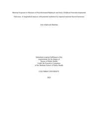 thumnail for AllahverdiBalalian_cumc.columbia_0054E_10082.pdf