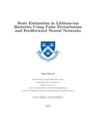 perturbation neural feedforward lithium networks