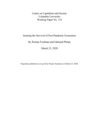 thumnail for insuring_the_survival_of_post-pandemic_economies_working_paper_no._116.pdf