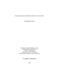 thumnail for Choksi_columbia_0054D_17734.pdf