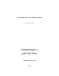 thumnail for Lam_columbia_0054D_17199.pdf