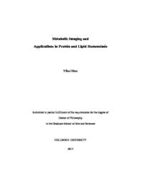 thumnail for Shen_columbia_0054D_14175.pdf