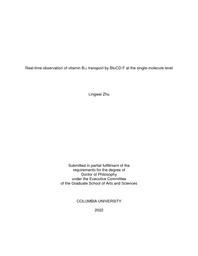 thumnail for Zhu_columbia_0054D_17533.pdf