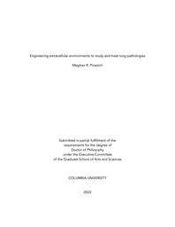 thumnail for Pinezich_columbia_0054D_17257.pdf