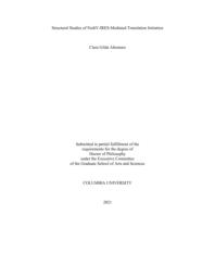 thumnail for Altomare_columbia_0054D_16283.pdf