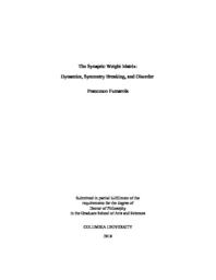 thumnail for Fumarola_columbia_0054D_14541.pdf